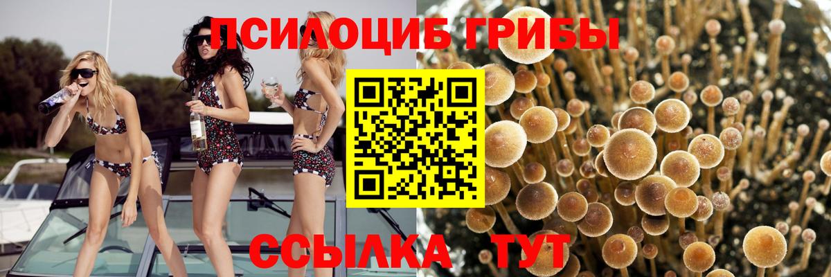 Галлюциногенные грибы Magic Shrooms Кизилюрт